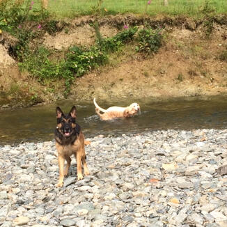 Fun times down at the riverbank!