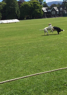 Buster and Jazz are the funniest pair!